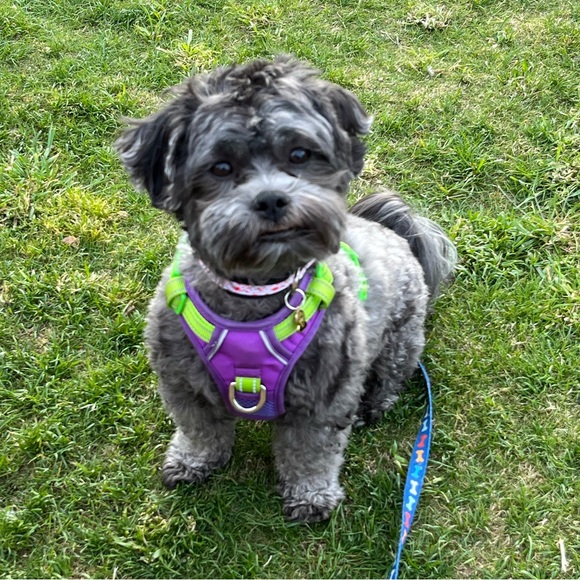 Hi all! Iβm Laurie and happy you stopped by π - Picture 3 of 3